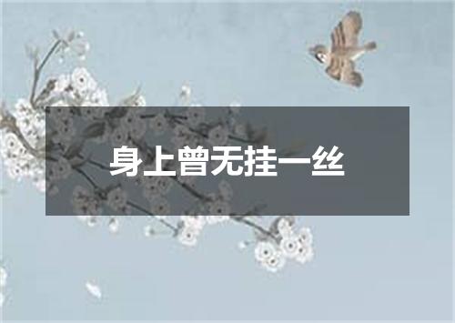 身上曾无挂一丝