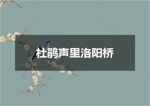 杜鹃声里洛阳桥