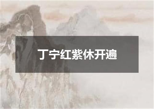 丁宁红紫休开遍