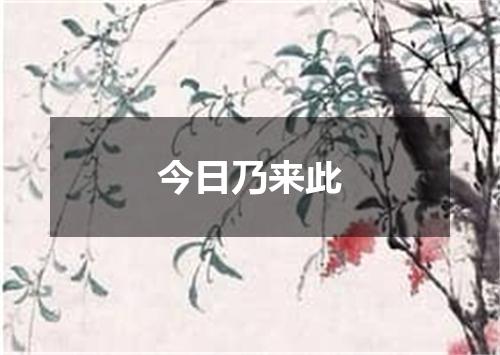今日乃来此