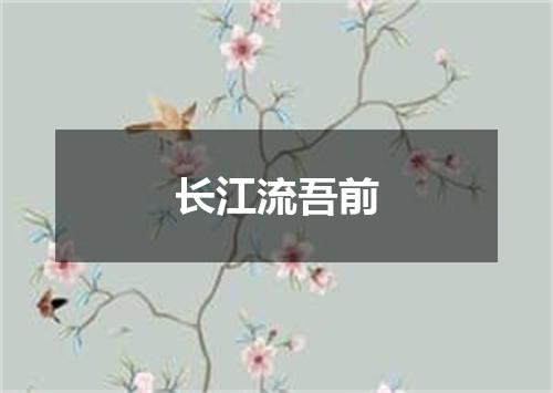 长江流吾前
