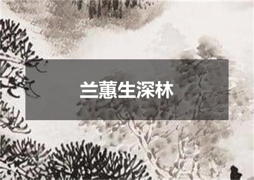 兰蕙生深林