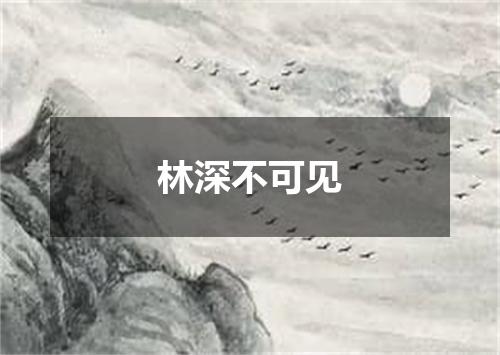 林深不可见