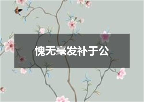 愧无毫发补于公