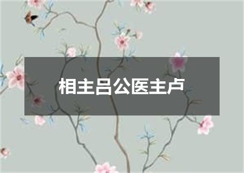 相主吕公医主卢