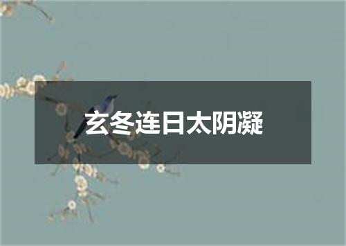 玄冬连日太阴凝