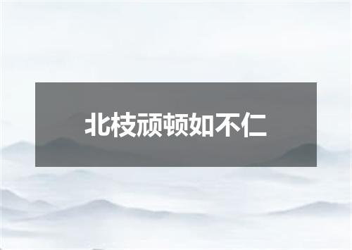 北枝顽顿如不仁