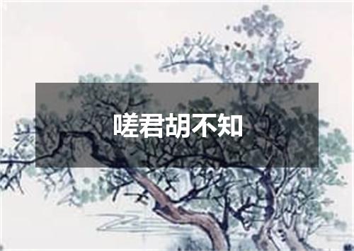 嗟君胡不知