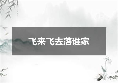 飞来飞去落谁家