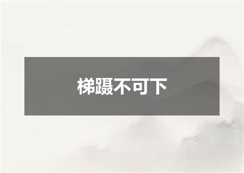 梯蹑不可下