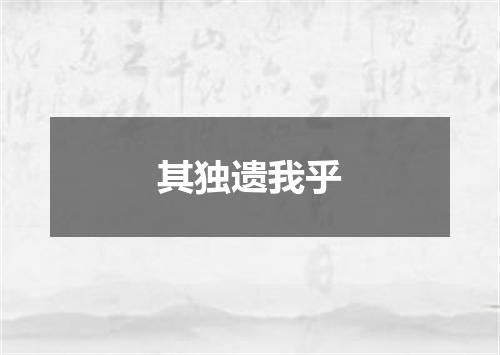 其独遗我乎