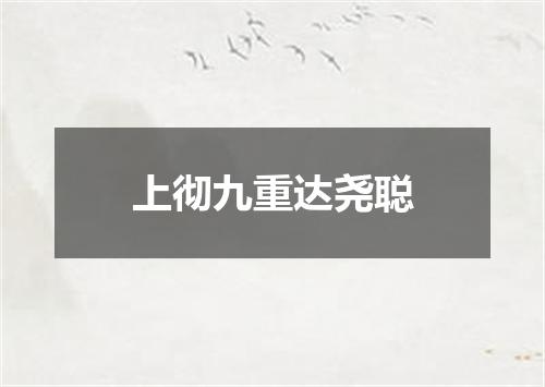 上彻九重达尧聪
