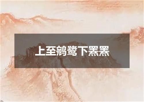 上至鹓鹭下罴罴