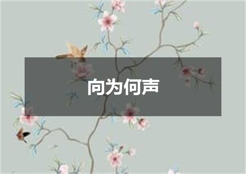 向为何声