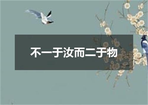 不一于汝而二于物