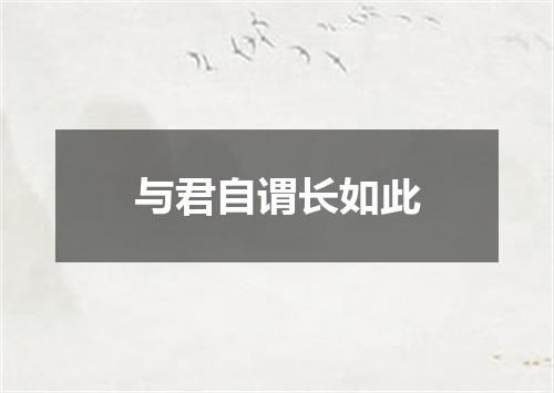 与君自谓长如此