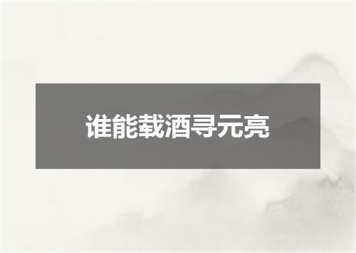 谁能载酒寻元亮