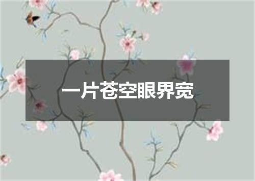 一片苍空眼界宽