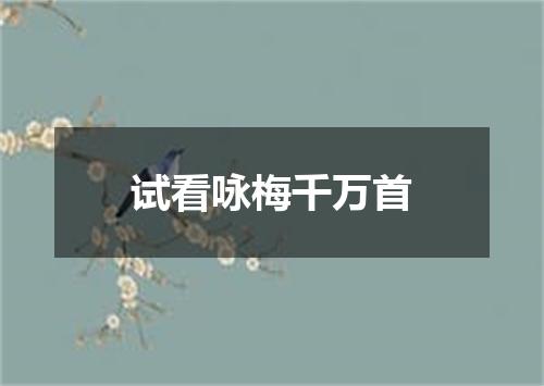 试看咏梅千万首