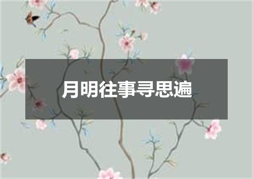 月明往事寻思遍