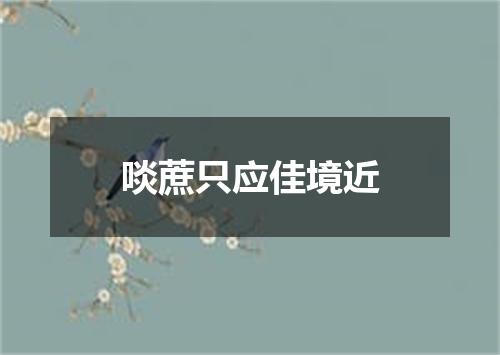 啖蔗只应佳境近