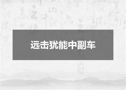 远击犹能中副车