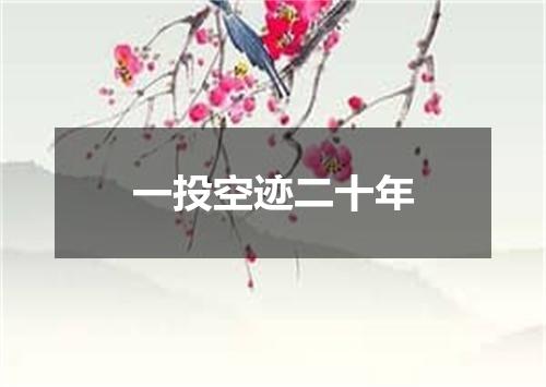 一投空迹二十年