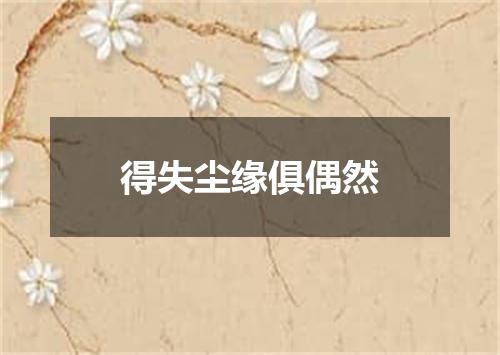 得失尘缘俱偶然