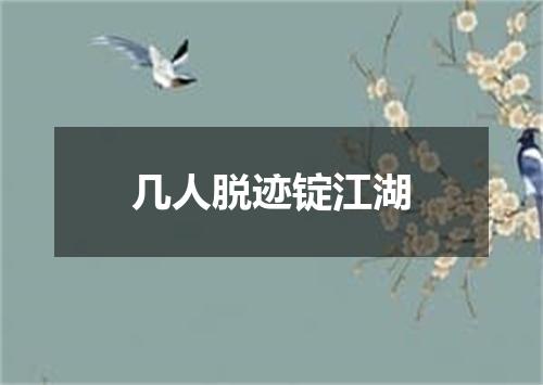 几人脱迹锭江湖