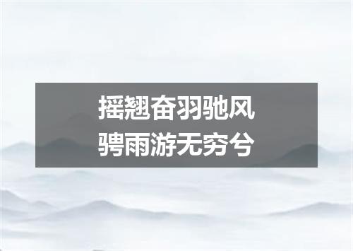摇翘奋羽驰风骋雨游无穷兮