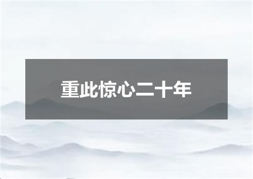 重此惊心二十年