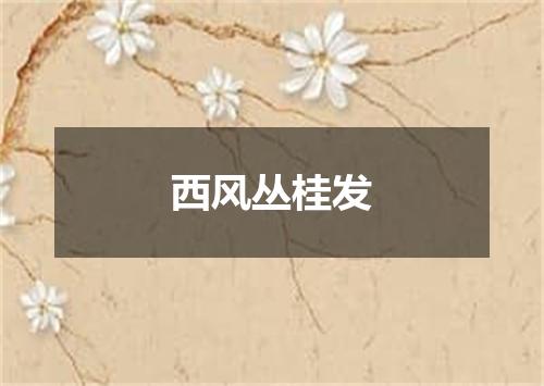 西风丛桂发