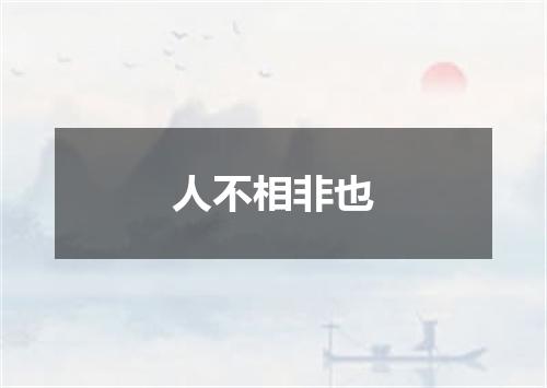人不相非也