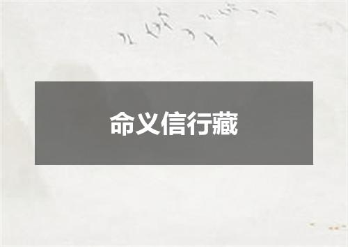 命义信行藏