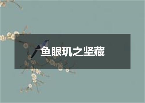 鱼眼玑之坚藏