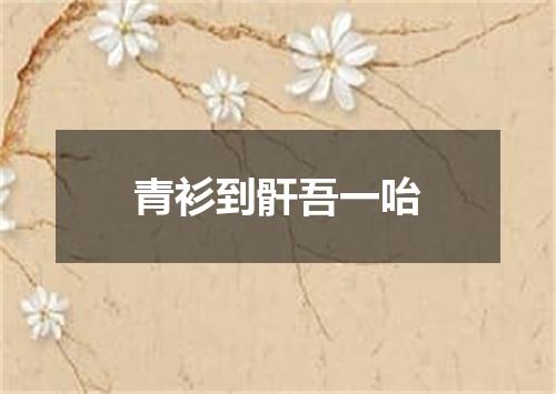 青衫到骭吾一咍