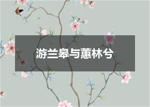 游兰皋与蕙林兮