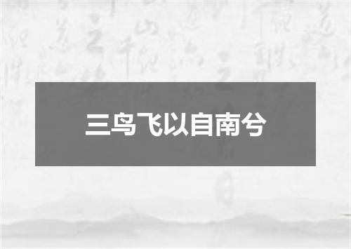 三鸟飞以自南兮