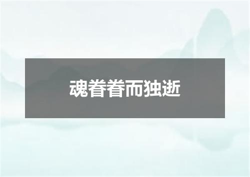 魂眷眷而独逝
