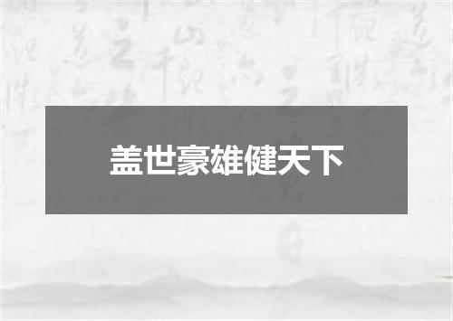 盖世豪雄健天下