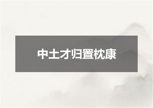 中土才归置枕康