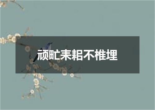 顽甿耒耜不椎埋