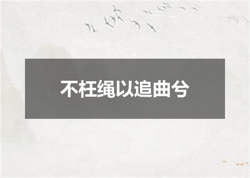 不枉绳以追曲兮