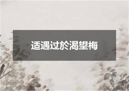 适遇过於渴望梅