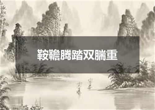 鞍韂腾踏双腨重