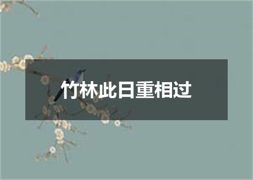 竹林此日重相过