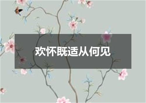 欢怀既适从何见