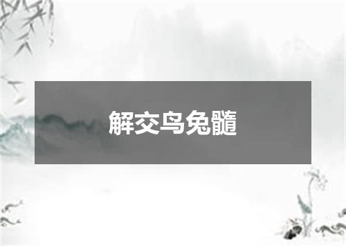 解交鸟兔髓