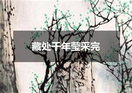 藏处千年莹采完