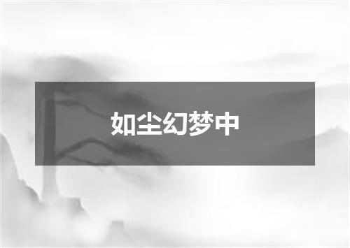 如尘幻梦中